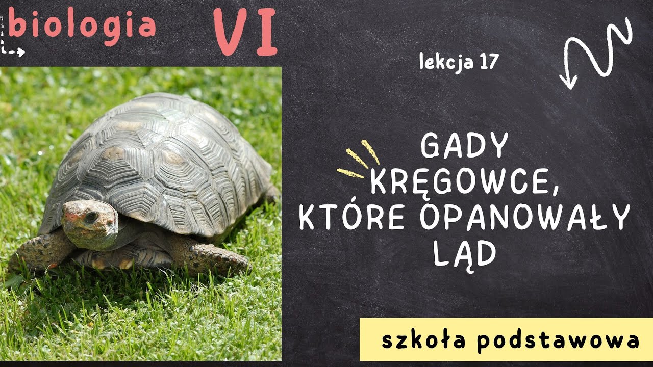 Biologia klasa 6 [Lekcja 17 - Gady - kręgowce, które opanowały ląd]