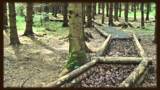 preview picture of video 'eHeinz episodio 49: Parco naturale del Sihlwald (Bosco della'