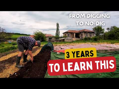 From Digging to No-Dig: What 3 Years in the Garden Taught Us