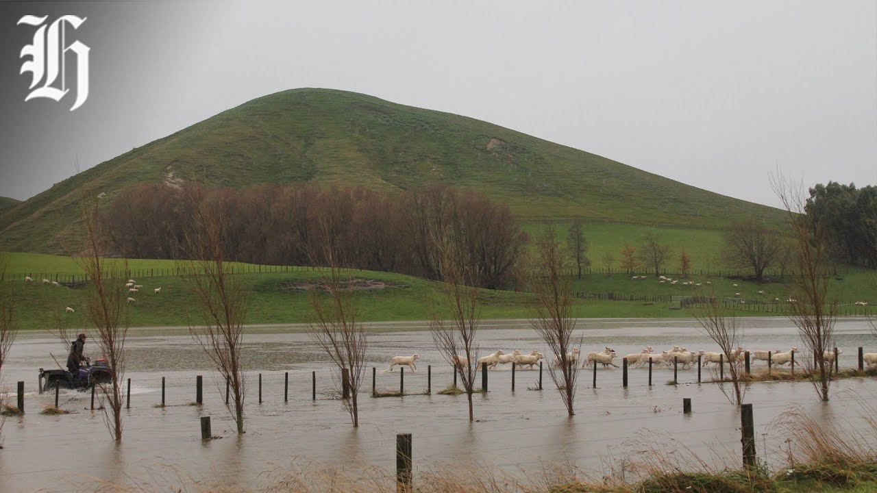 South Island farmers lead massive post-storm cleanup | Herald NOW