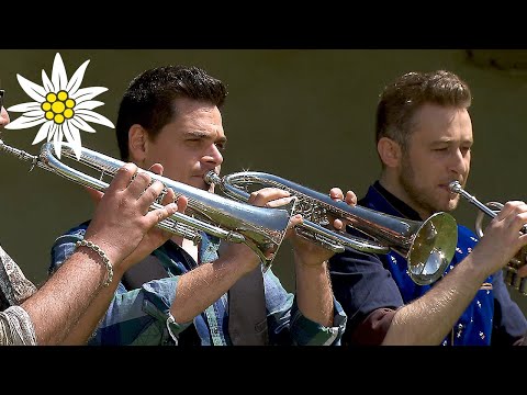 Die fidelen 60er | da Blechhauf'n