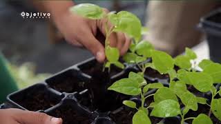 La Formaci&oacute;n Profesional hoy en d&iacute;a roza el 98% de empleabilidad