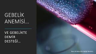 Gebelik Anemisi