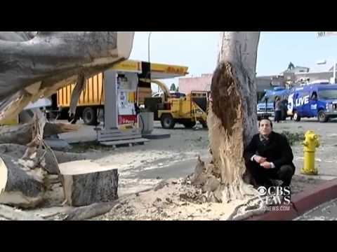 Hurricane force winds sweep through Calif.