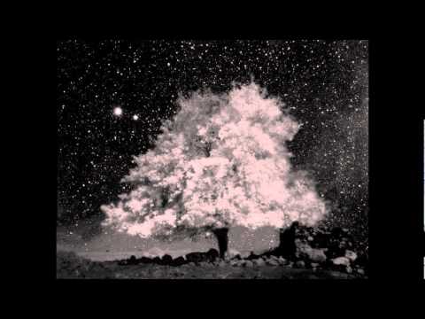 Zhaoze - 1911第二回 2nd mov.