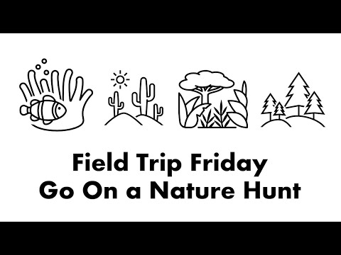 Field Trip Friday 2024