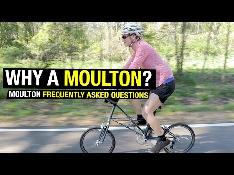 Moulton vs. Brompton?