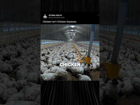 Chicken Isn't What It Used To Be