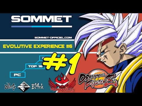 SOMMET EVOLUTIVE EXPERIENCE #6 [Pc] [Part1] LDN | Gagayoux vs Winkiez / YUZU | DEDG vs Minipinho ...
