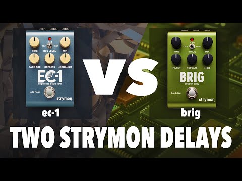 Strymon EC-1 vs. Brig: Tape Echo Meets Bucket Brigade