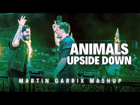 Martin Garrix vs Alesso & Sentinel - Animals vs Upside Down (Martin Garrix Mashup) (Renzed Remake)