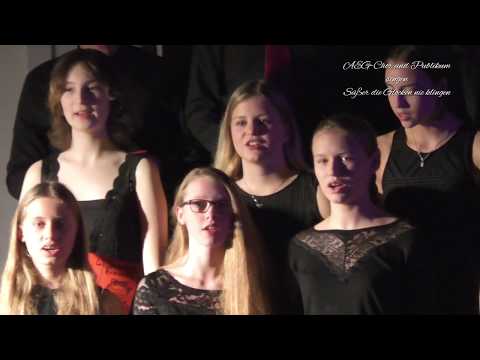 Süßer die Glocken nie klingen - AEG-Chor Neubrandenburg und Publikum