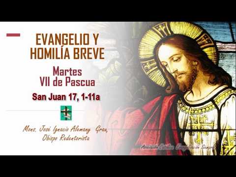 Miniatura del video