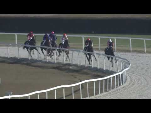 2018.11.18. 01. futam - LIGETTELKI DŰLŐ HENDIKEP (III.o.) (szintetikus pálya)