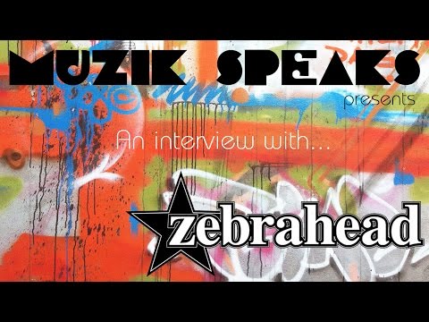 Muzik Speaks: An Interview with Ali Tabatabaee from Zebrahead