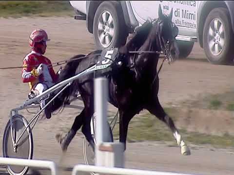 Trotto 03/03/2019 - 1ª corsa