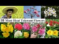 10 Most Heat Tolerant Flowers Plants That Tolerate Extreme Summer Sunloving Summer Flowers
