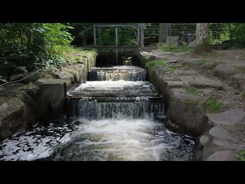 Laxtrappan i Munka-Ljungby