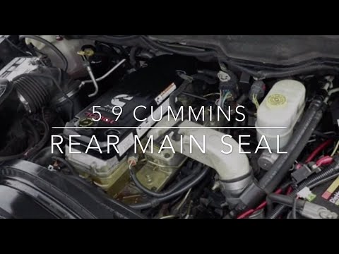 5.9 Cummins Rear Main Seal