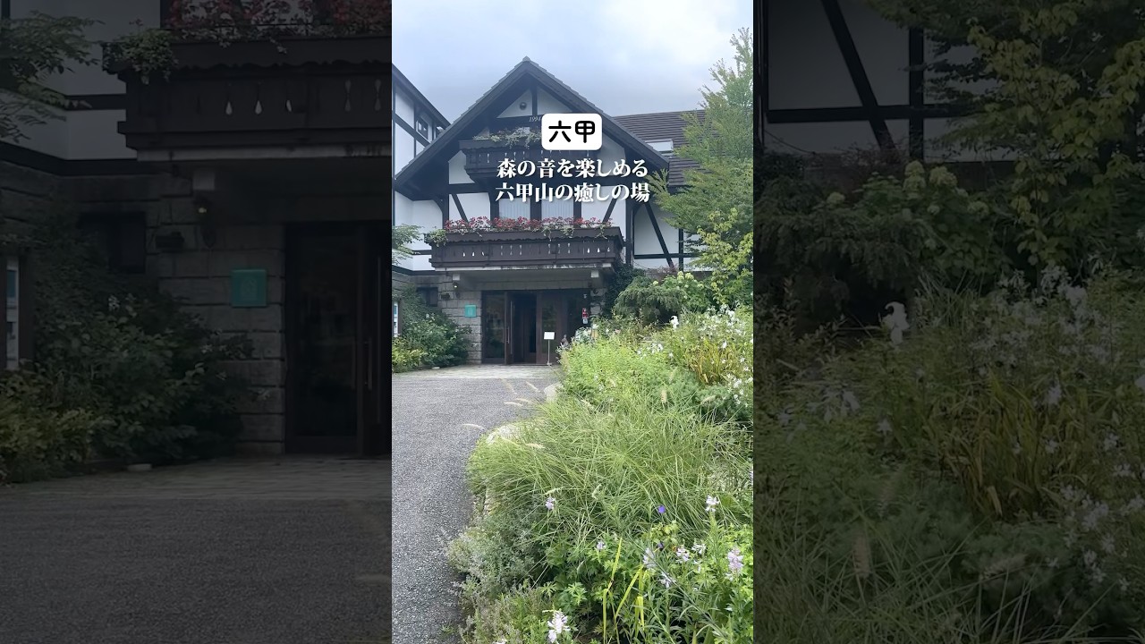 【神戸観光】山の上のミュージアムで最高の癒し体験 #shorts