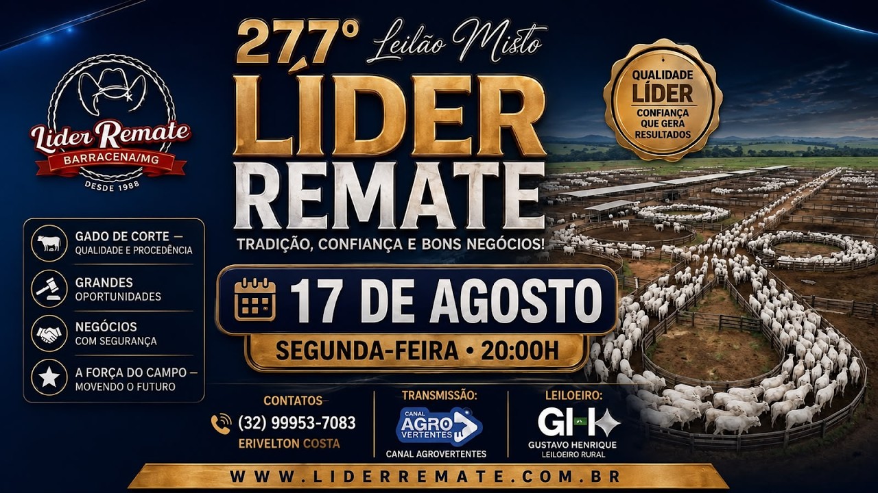 277º LEILÃO MISTO LÍDER REMATE - SÃO JOÃO DEL REI/MG - 17/08/2026