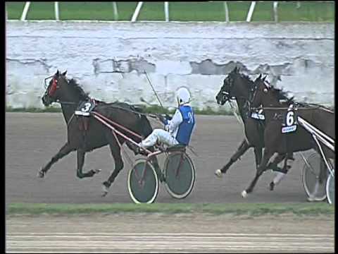 Trotto 22/10/2015 - 4° corsa