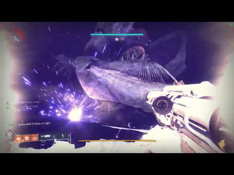 Last Wish Raid Final Boss - Skipping the Riven jumping puzzle