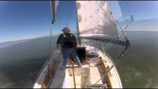 Just another perfect day on the San Francisco Bay