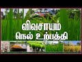 Rice Production In Tamilnadu Step By Step Complete Guide From Seeds To Harvest