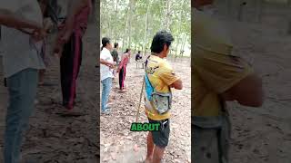 Download lagu Kompetisi ayam jago Thailand mp3