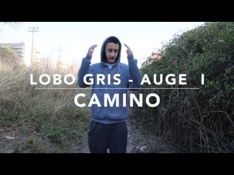 LOBO GRIS - CAMINO [AUGE]