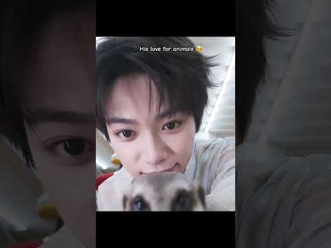Idk who is cuter, Ziyu or the animals lol #revengedlove #ziyu #tianxuning #shorts