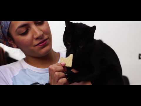 ESTUKERO  AKA ELTITO - PASO A RECOGERTE (VIDEOCLIP)