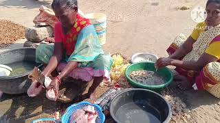సముద్రపు పండుగప్ప చేప కట్టింగ్ చూడండి 🐠🐠🐠🐠🐠