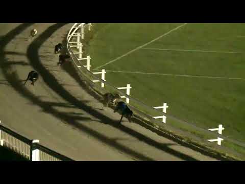 2023.09.01. 7. Futam - Lyreen Mover Díj