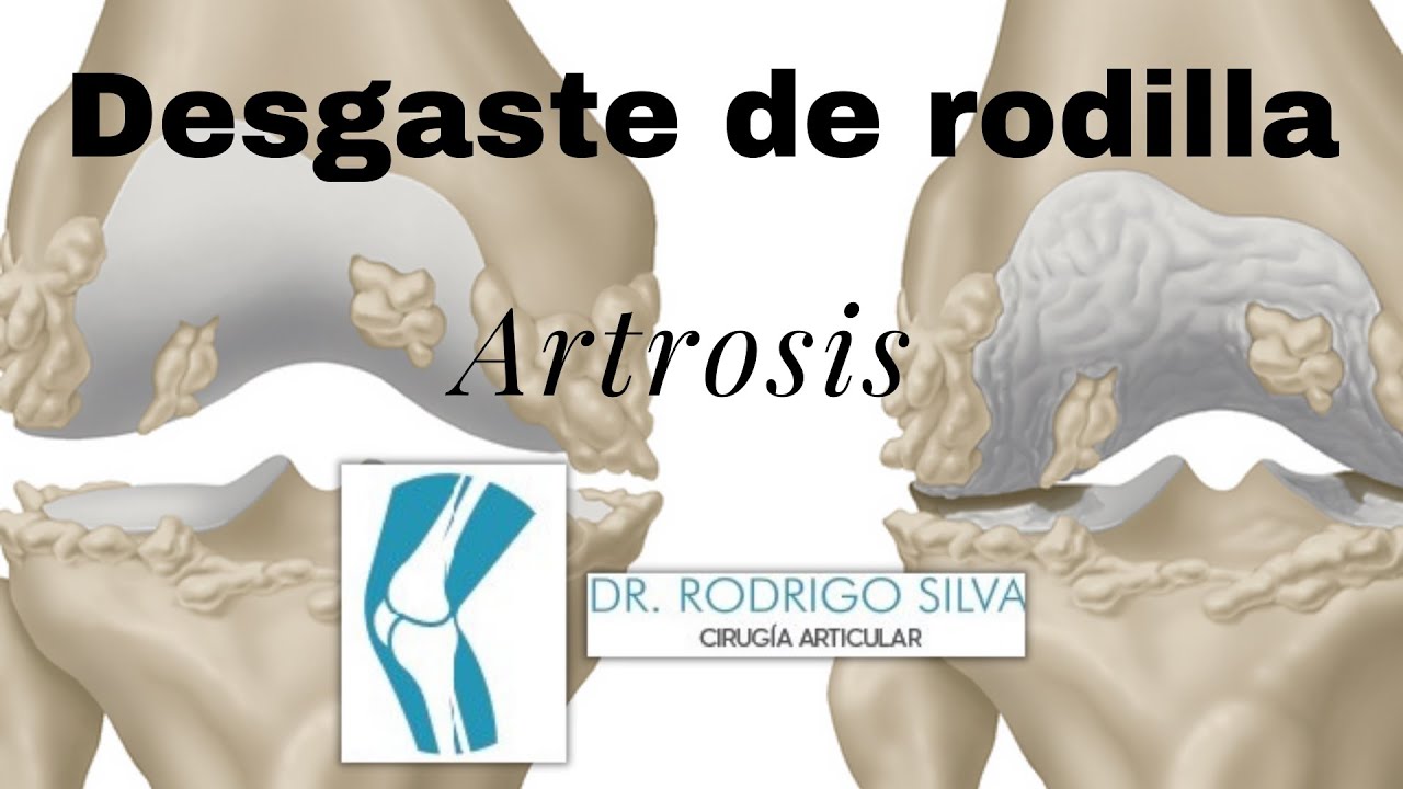 Rodrigo Silva Gay-10