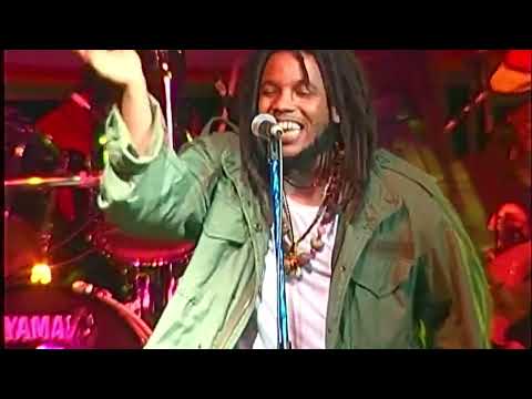 Stephen Marley, Damian Marley, Julian Marley