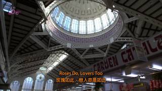 【中英文翻譯】DVD6_04.Rita Coolidge - We're All Alone