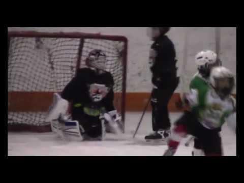 Veszprémi Jéglovagok