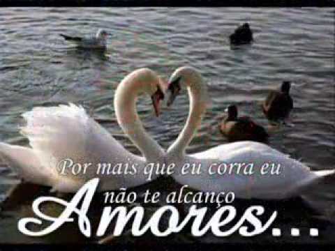 Dois Bicudos video