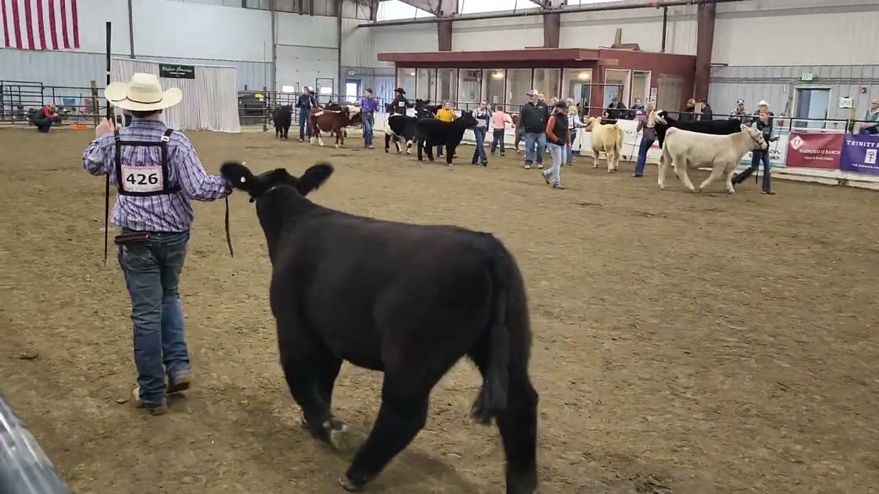 11-4-23 Western Showcase Jackpot