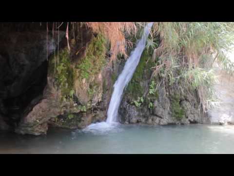 Ein Gedi - Desert of Judea - Israel