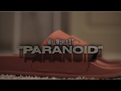 WillWorld DT  Music Video