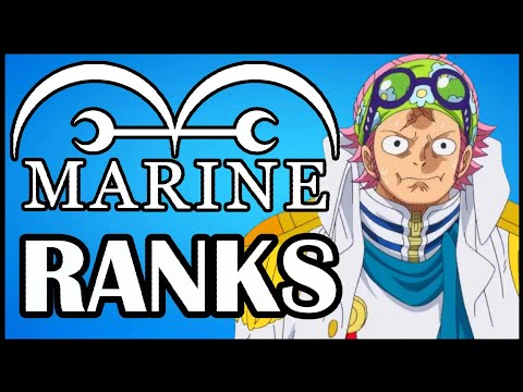 All Marines & Their Ranks!! (New Version) - One Piece Discussion | Tekking101