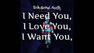 I Need You, I Love You, I Want You | Tenth Avenue North (lyric)