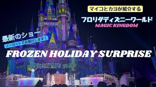 マジックキングダムで新しいショー始まりました❄️⛄️❄️