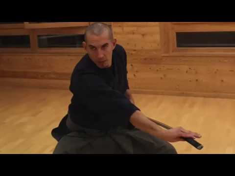 Farouk Benouali Tankyukai - Ryushin Shouchi Ryu  iaijutsu- Dojo Lyon-Confluence -