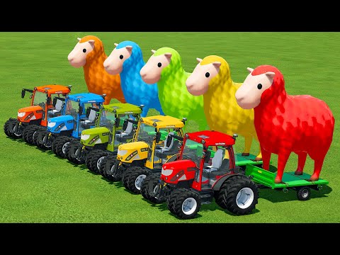 LOAD AND TRANSPORT GIANT SHEEPS WITH RIGITRAC MINI TRACTORS - Farming Simulator 22