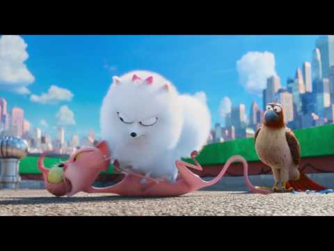 La Vida Secreta de tus Mascotas