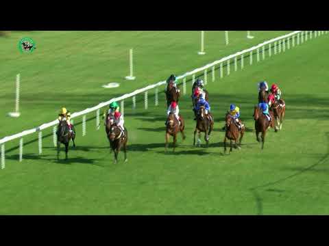 8.4.2018 - 5. dostihy - Cena Kultúrnych zariadení Petržalky